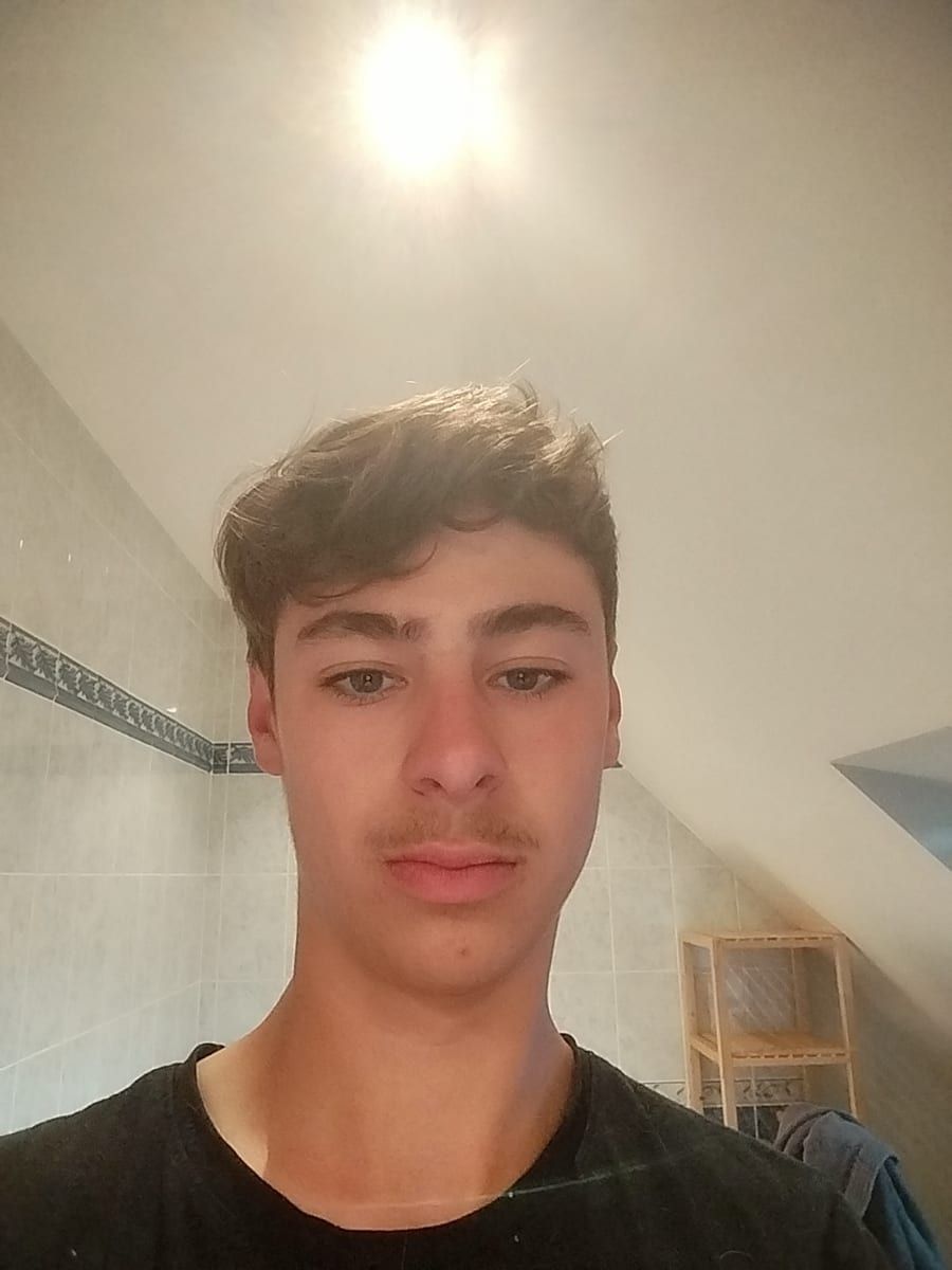 Profil de Nabi